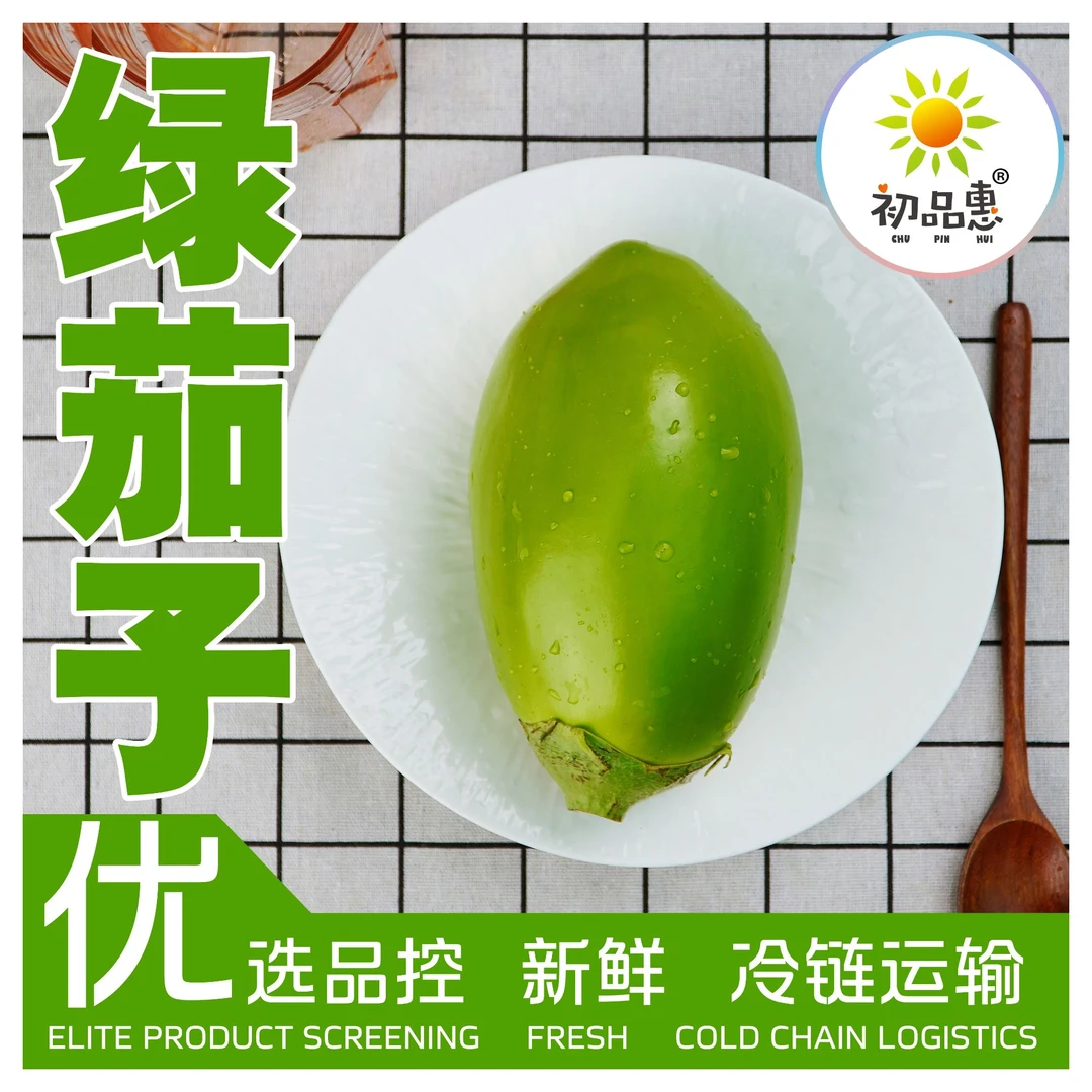 初品惠 优选【绿茄子】 约500g 冷链运输 安全 健康 洁净新鲜茄子同城配