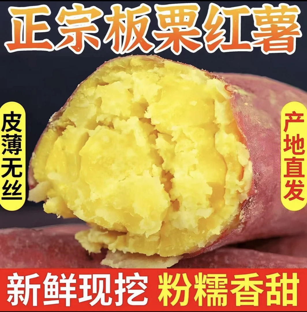 正宗陕西板栗红薯新鲜现挖粉糯甘甜香甜可口