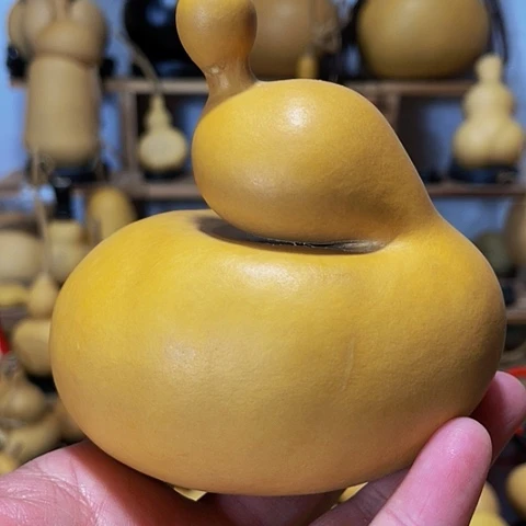 精品厚皮异形葫芦