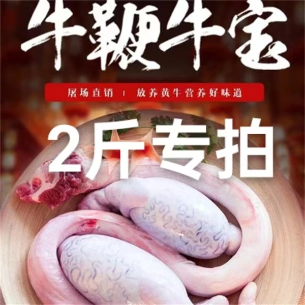 国产新鲜黄牛鞭现宰黄牛鞭牛三宝精修处理保密发货