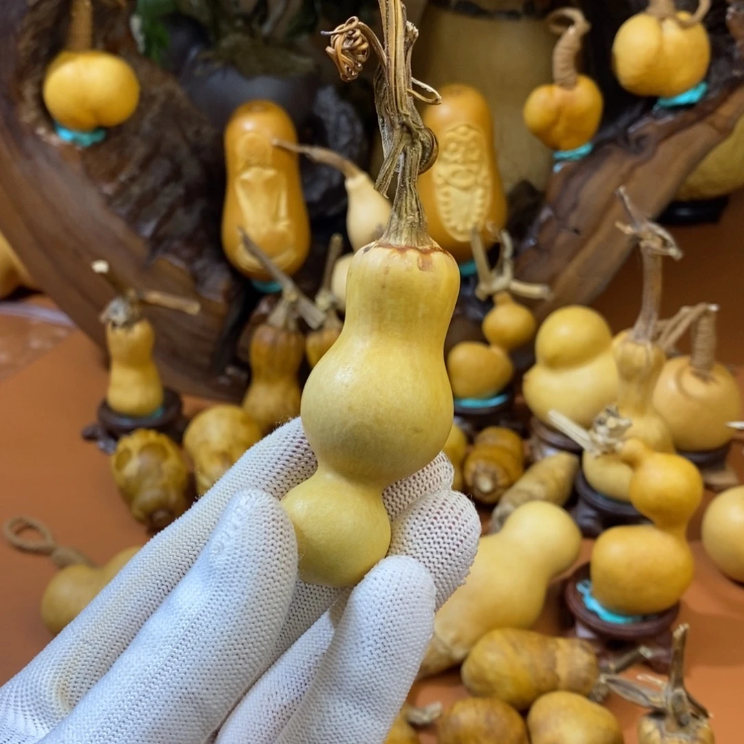 1***班教练咯教练咯教练咯