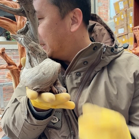 柏木墩*崖柏毛料的