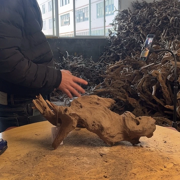 木鱼缸造景根雕152