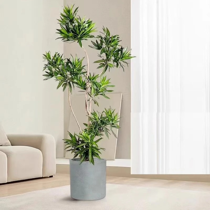 百合竹盆栽大老桩造型客厅真绿植落地轻奢好养真花室内大型植物