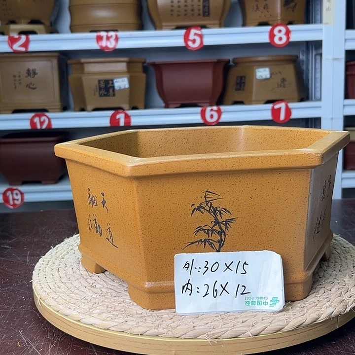 紫砂花盆蛇年大吉