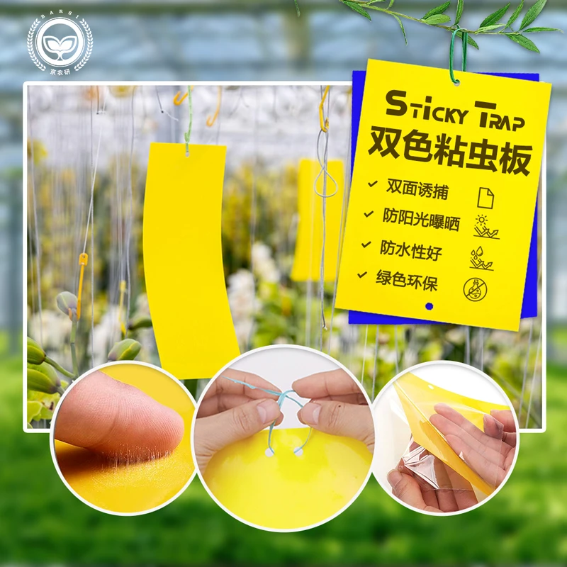 粘虫板黄板双面蓝板蓟马小黑飞蚜虫蚊蝇诱捕器大棚果园家用防虫板