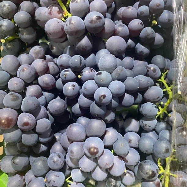 【散装4斤】精品玫瑰香葡萄