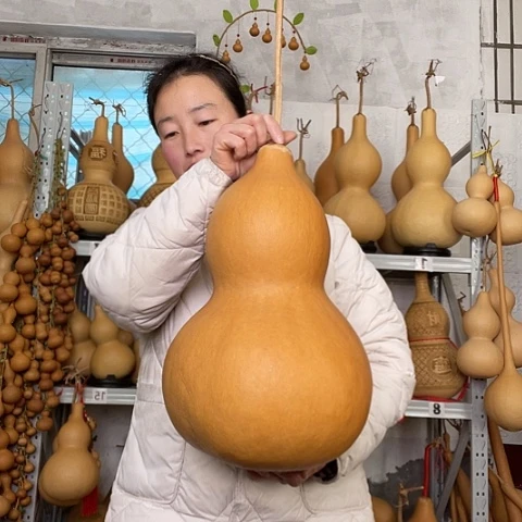 济****店天然植物葫芦文玩