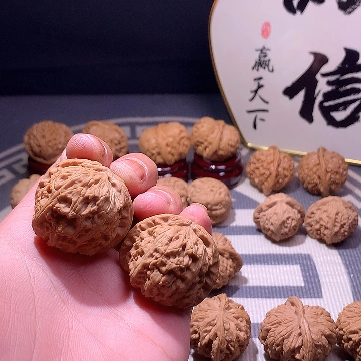 徐***立全品白狮子，，，，，，