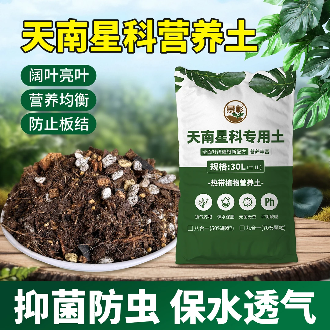 天南星科专用营养土龟背竹蔓绿绒彩叶芋海芋秋海棠花烛白掌象耳芋
