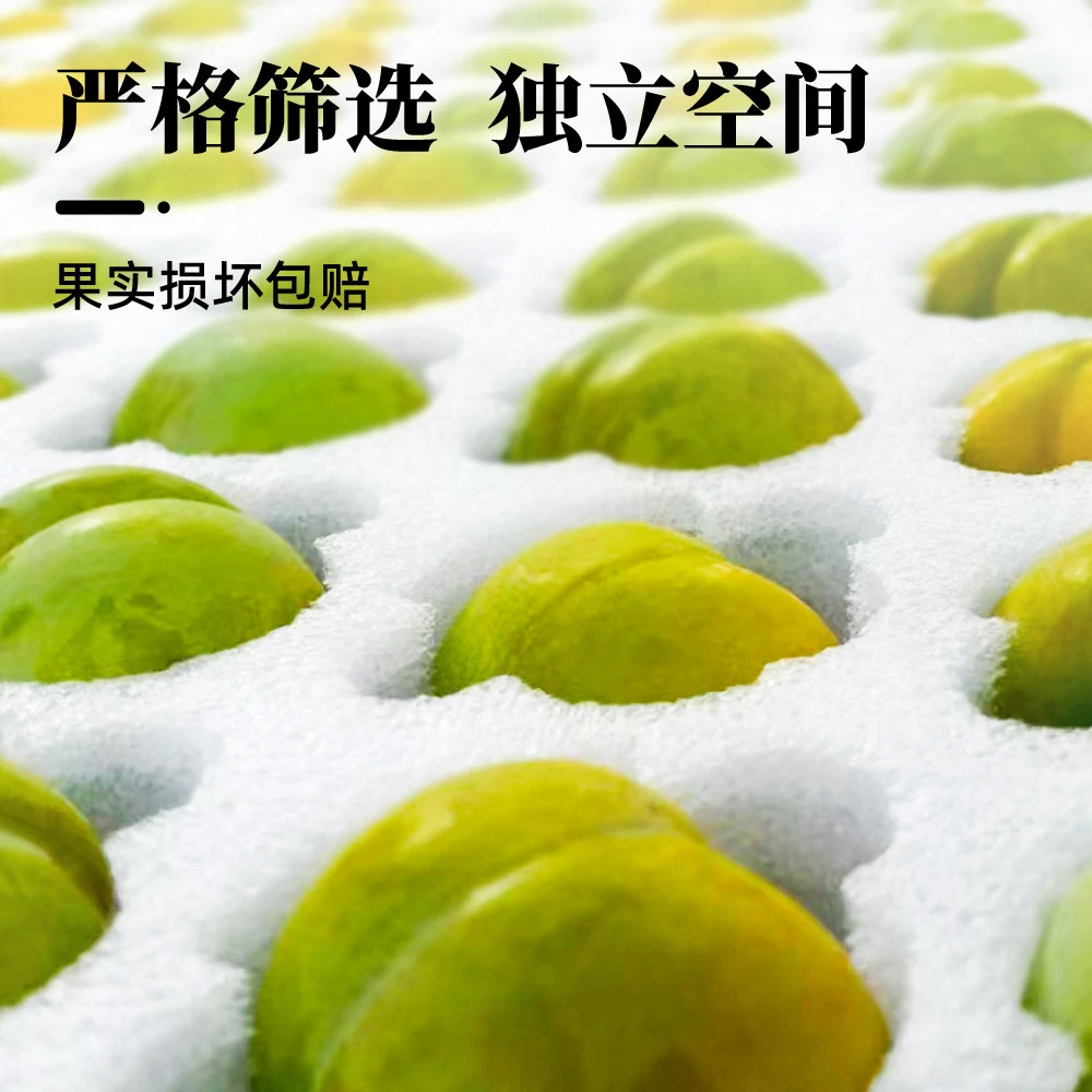 正宗贵州六马镇蜂糖李当季新鲜水果脆甜多汁脱骨大果