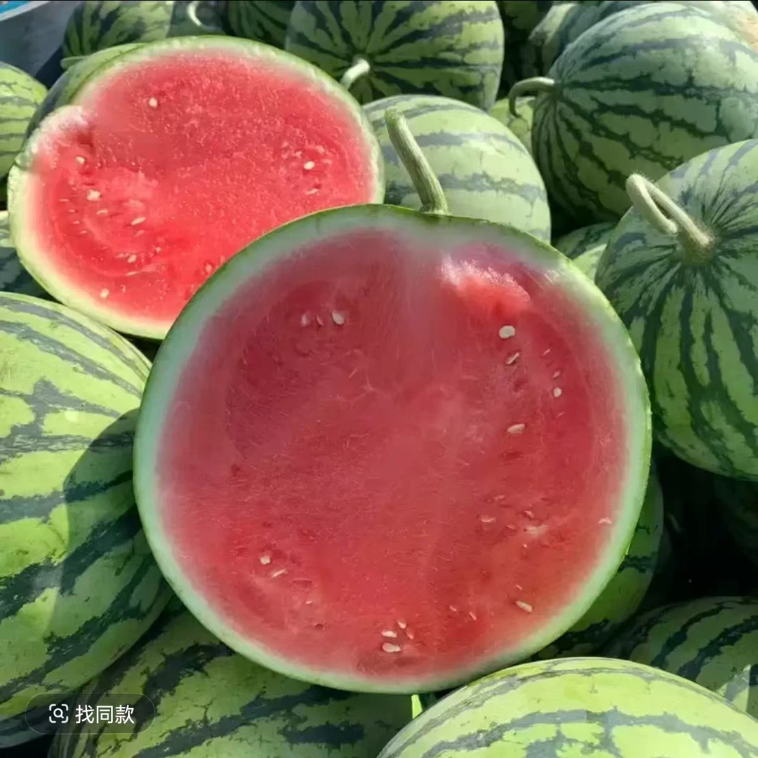 【梭哈兄弟】云南无籽麒麟西瓜头茬瓜超甜薄皮脆甜瓜顺丰包邮