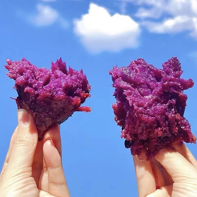 软糯流蜜黑美人紫薯蜜薯番薯烤红薯溏心云南紫糯香薯新鲜比烟薯甜