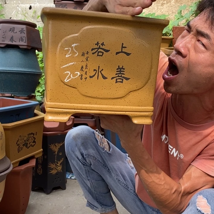 紫砂紫砂紫砂紫砂