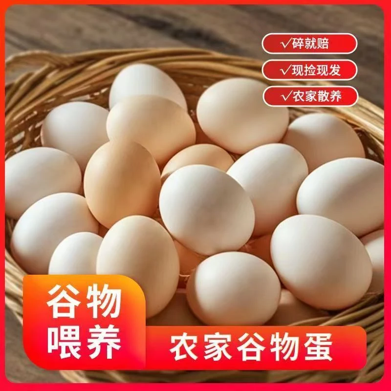 农村散养土鸡蛋45-50克/枚