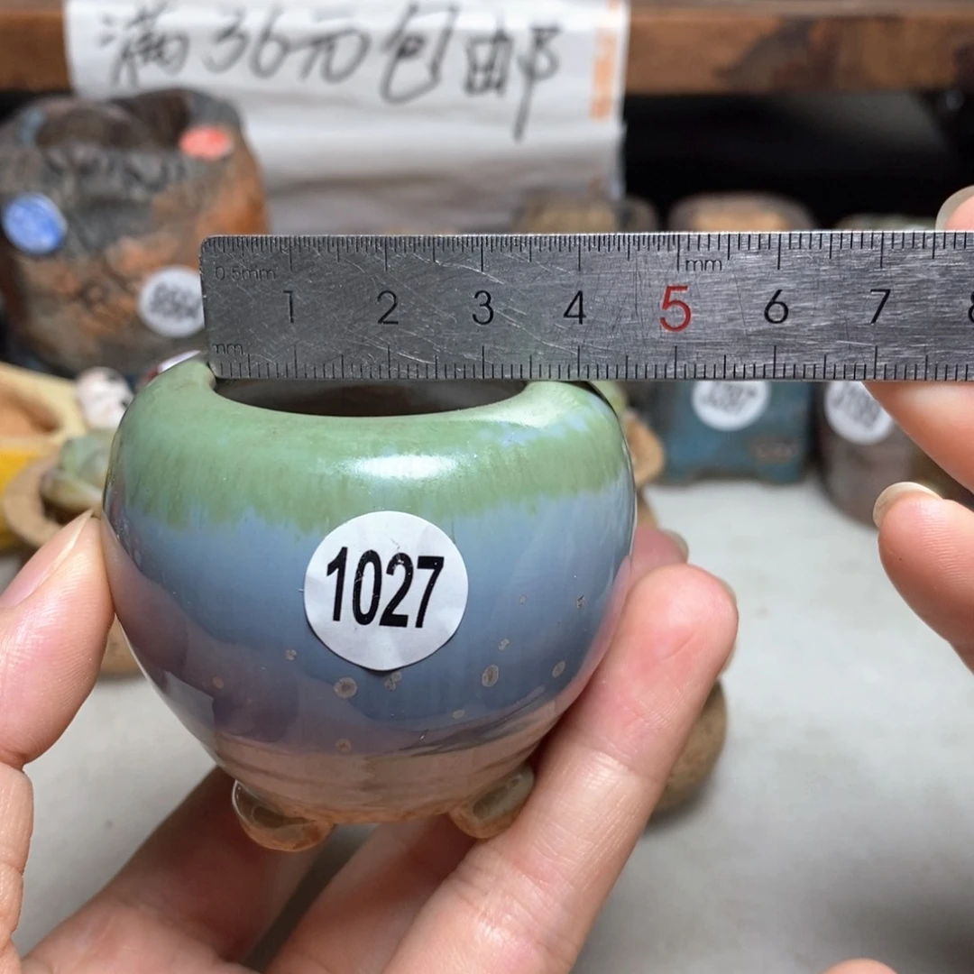 拍5送一个小礼物