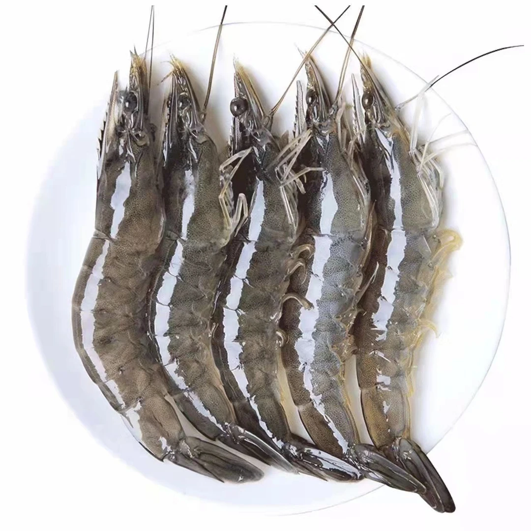 Y【一霏】2030大大号海水大虾 18-20cm/只 1斤12只左右3斤35只左右