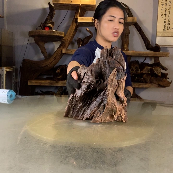 小***子天然云南紫柚木会黄水