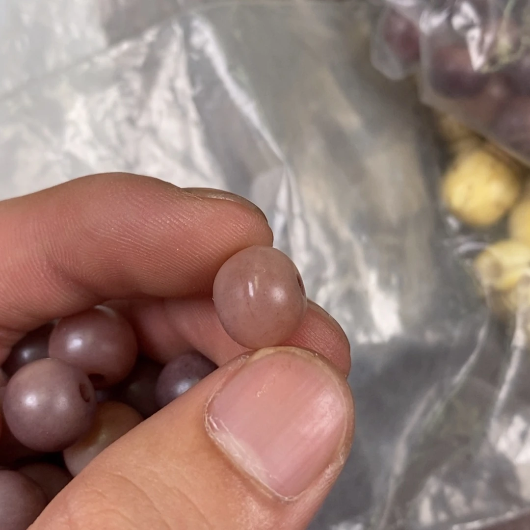 手串/手链驼骨1.2尺寸驼骨,53