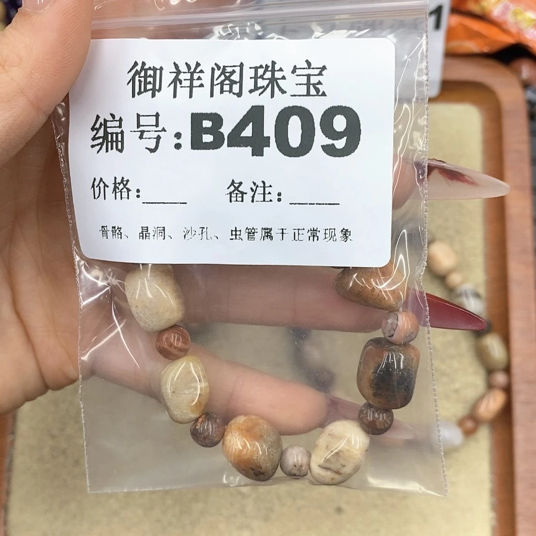 硅化珊瑚（珊瑚玉）颈饰未镶嵌玖*