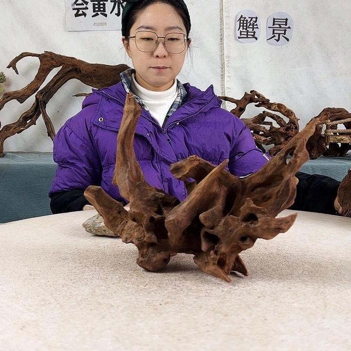 沉木造景爬宠造景