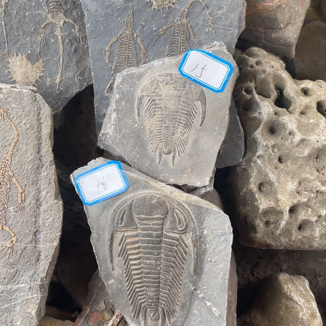 石材1555555555555555