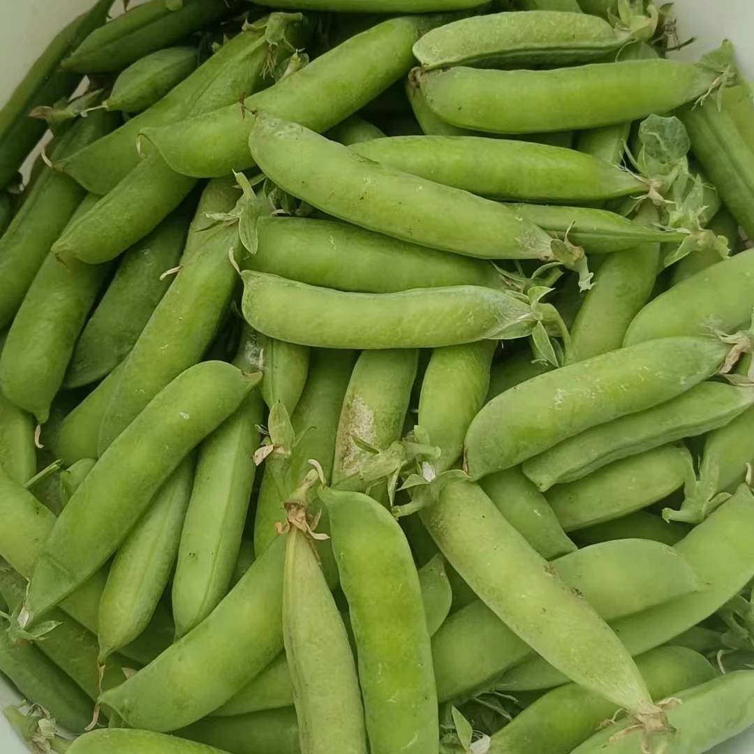 京平农庄 陆地 豌豆荚2斤  清甜脆嫩 顺丰包邮