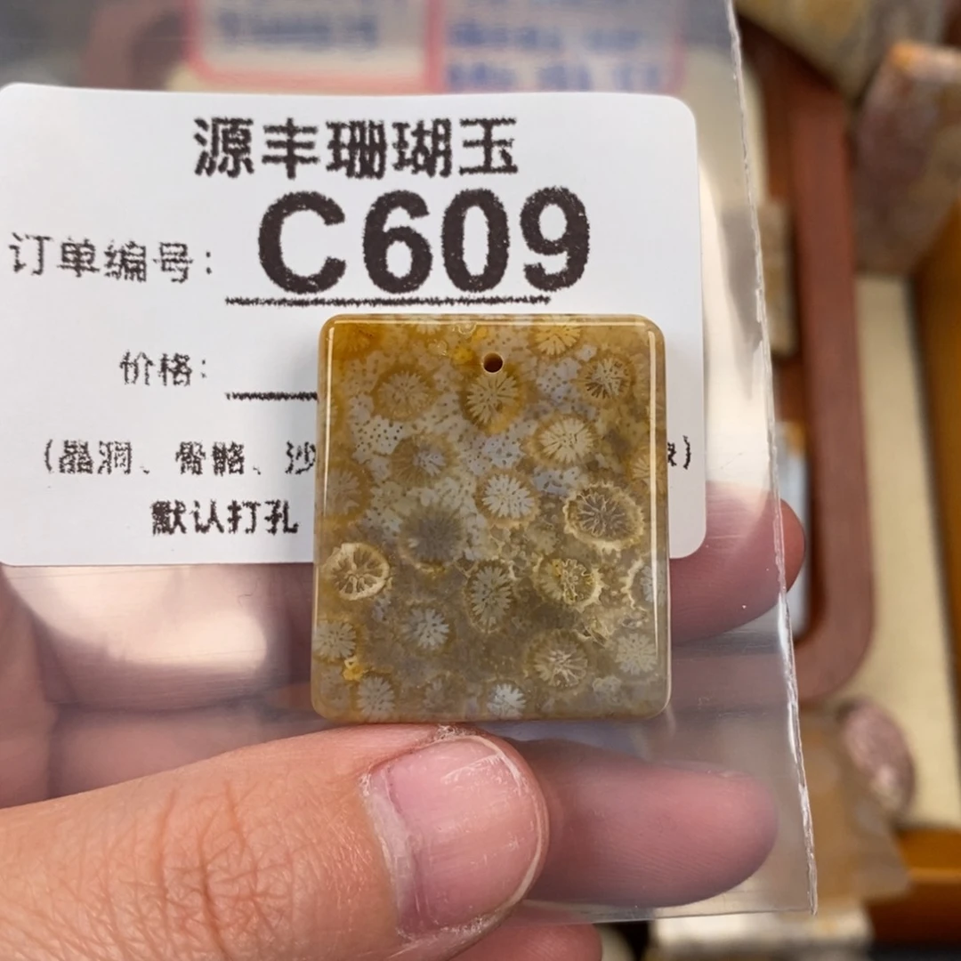 硅化玉颈饰未镶嵌1*1