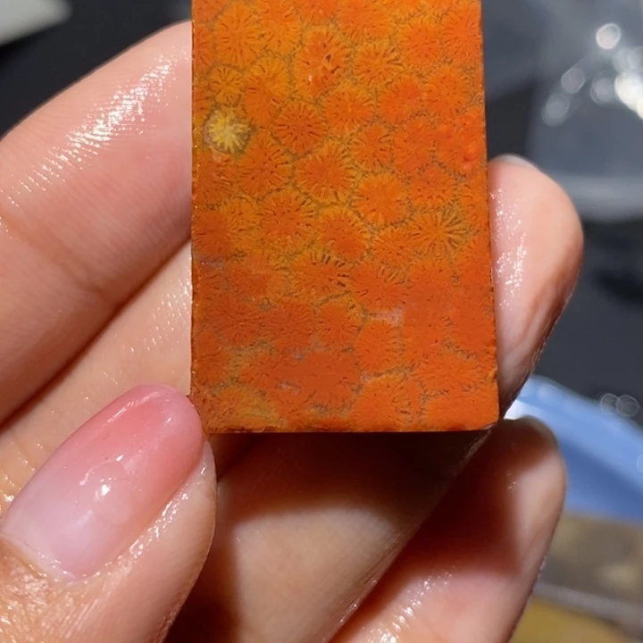 【闪购商品】未镶嵌珊瑚玉硅化玉