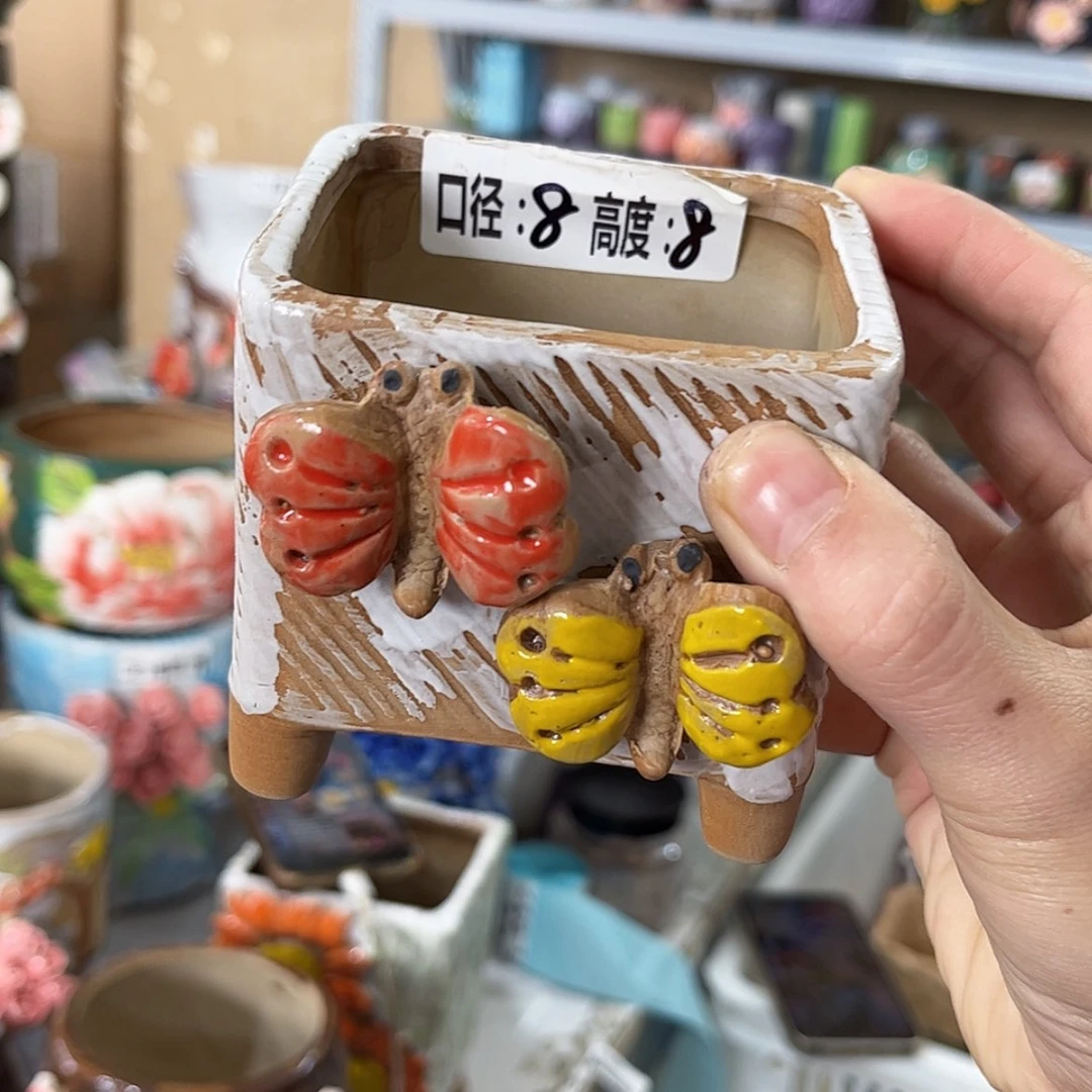 【闪购商品】红陶福利