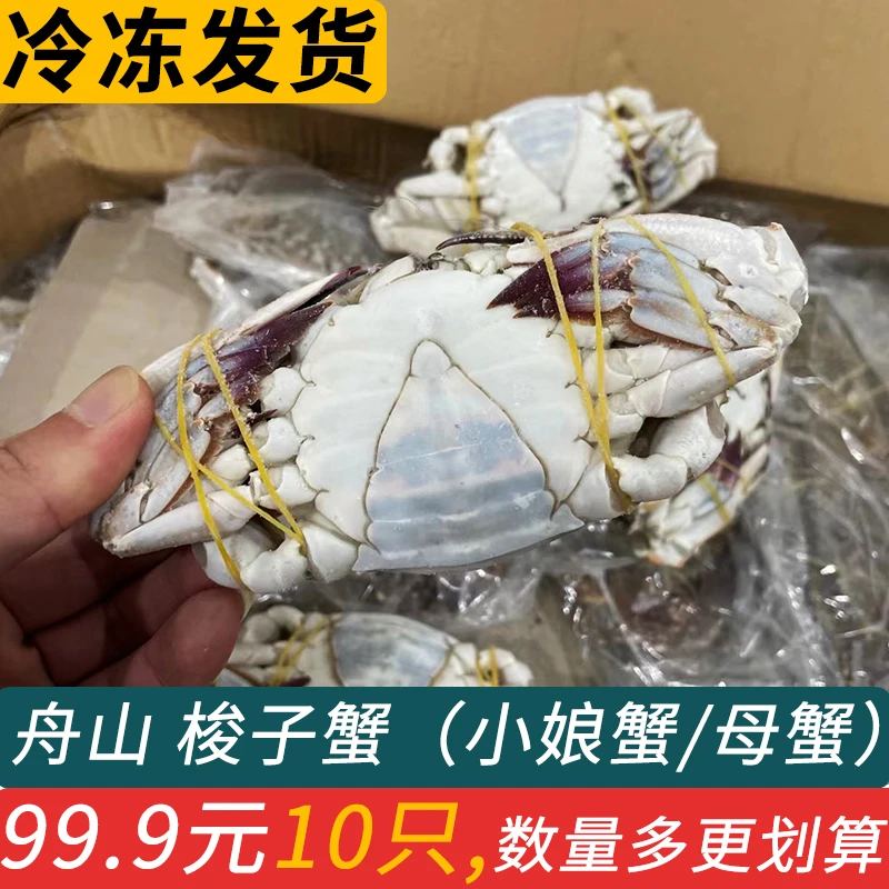 【冻蟹】舟山梭子蟹螃蟹二母蟹小娘蟹海蟹姑娘蟹海蟹2-3两/只 1斤起