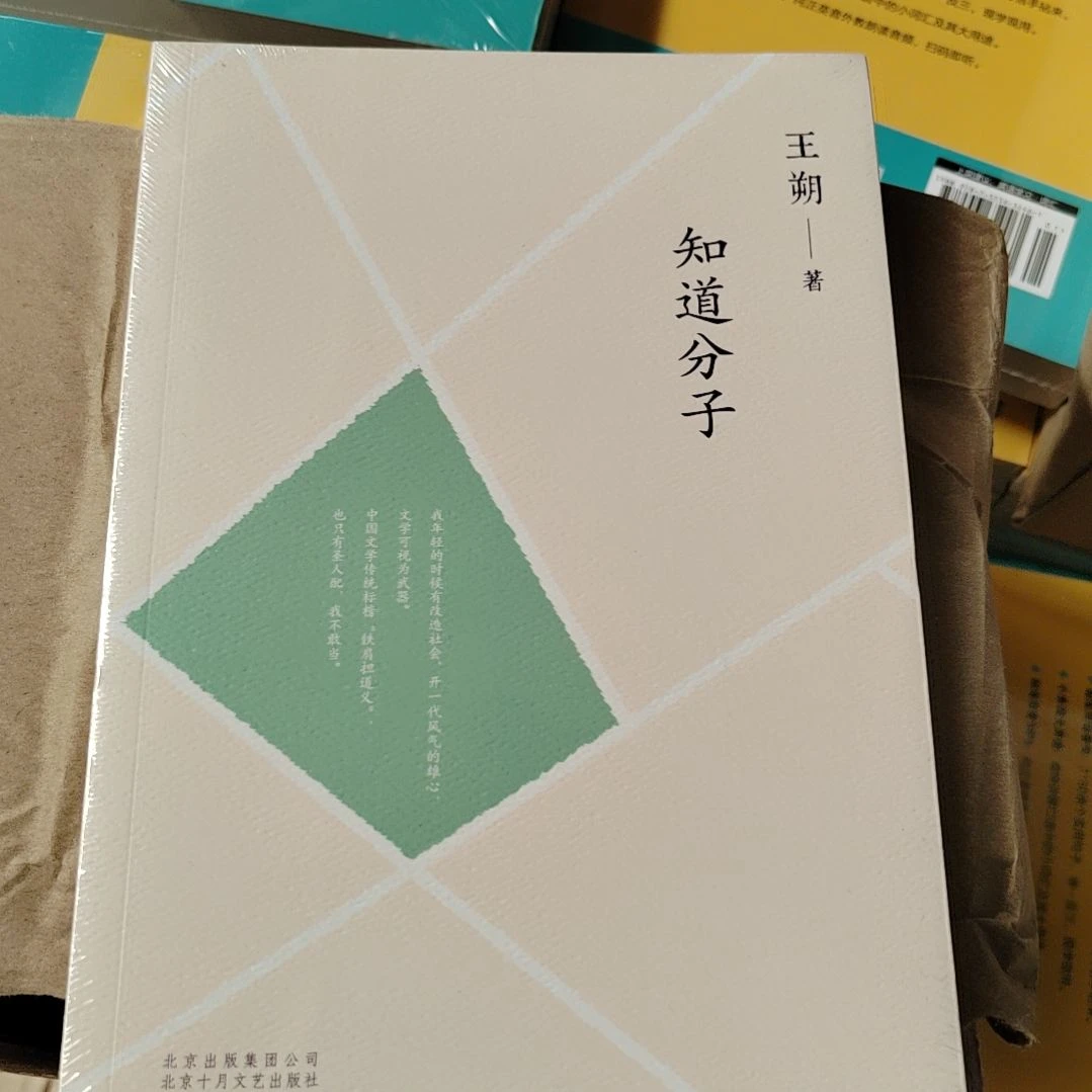 知识分子王硕老师写的一本书书名就叫做知识分子