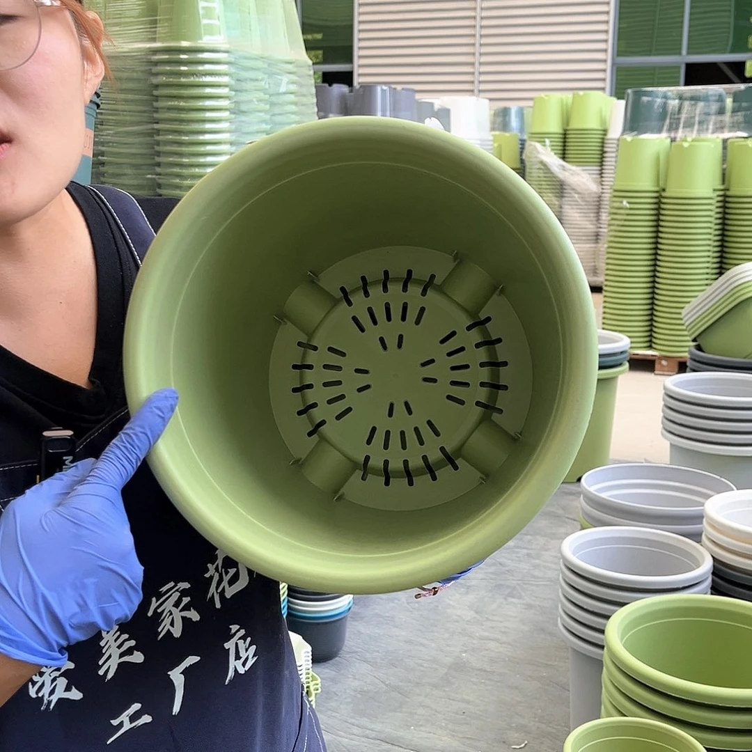 四季盆5#果绿色6个无托