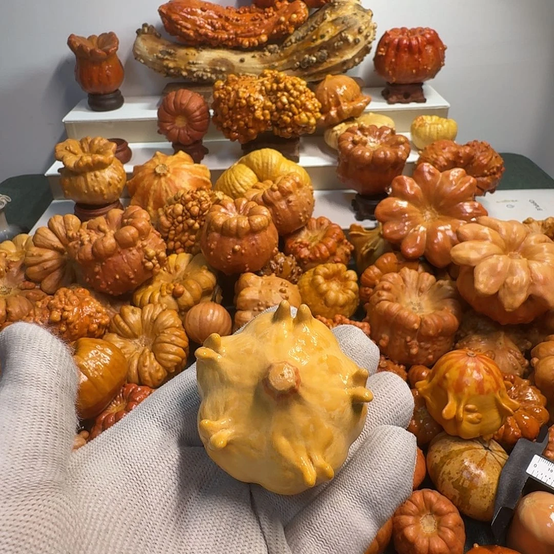 五***斯墨西哥葫芦飞翅精品