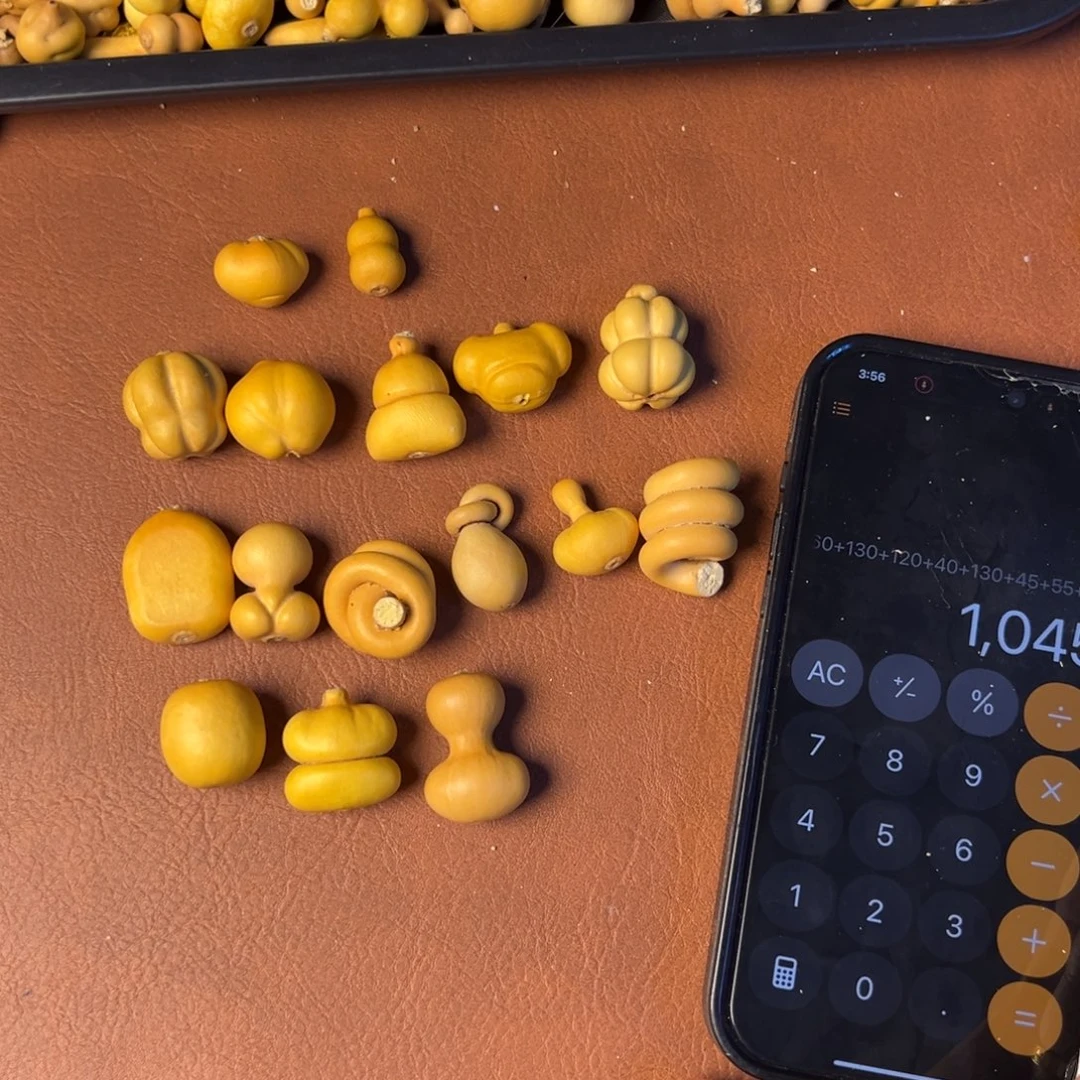 王***慧大叶紫檀（黑酸枝木类）