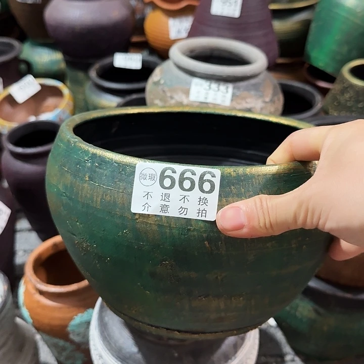 金绿666高度13口径20