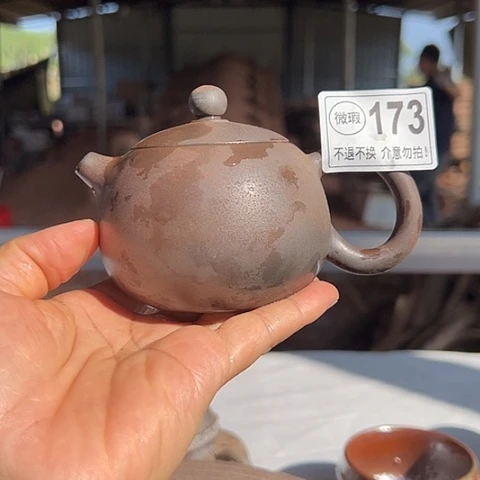 戬谷龙窑柴烧茶壶173