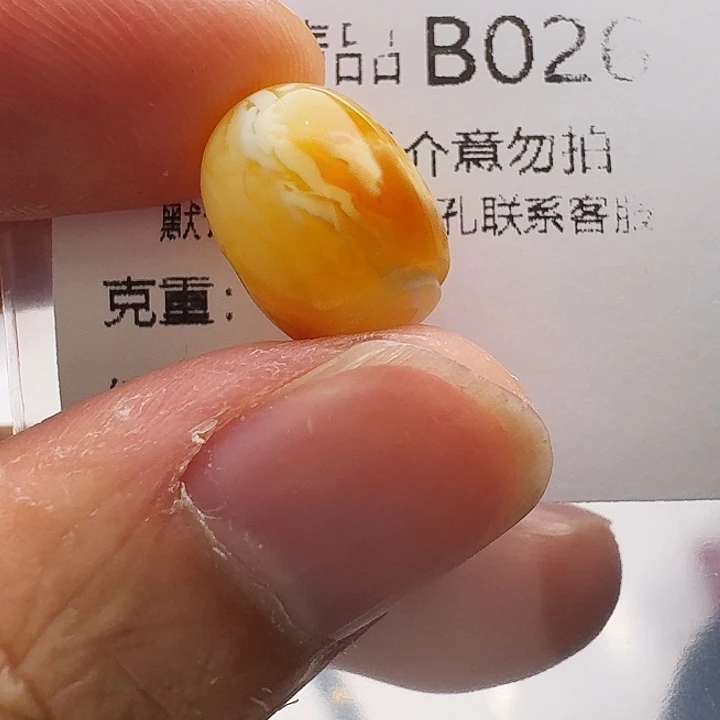 裸石琥珀未镶嵌琥珀