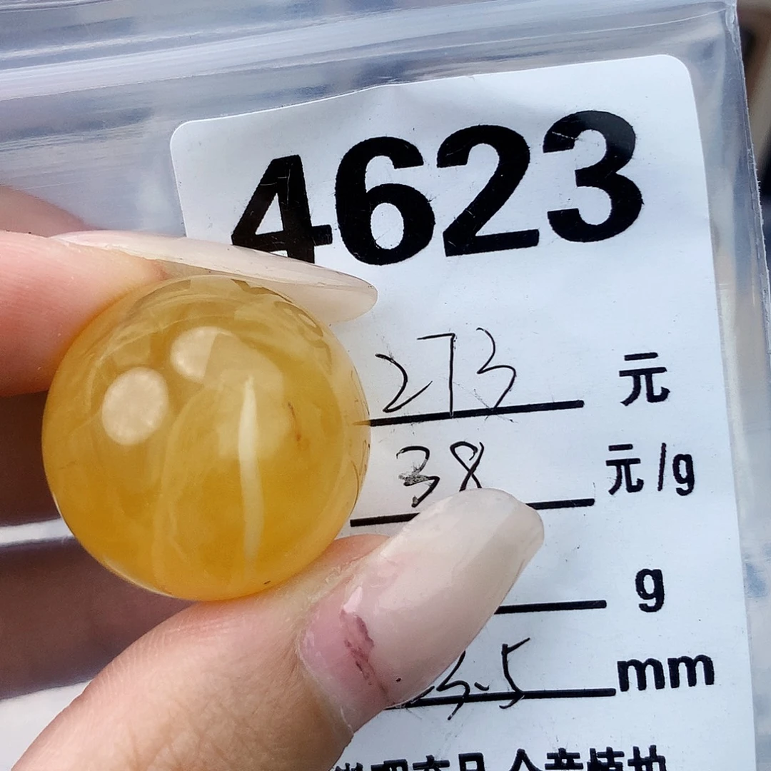 琥珀未镶嵌珠宝奇石23.5植物