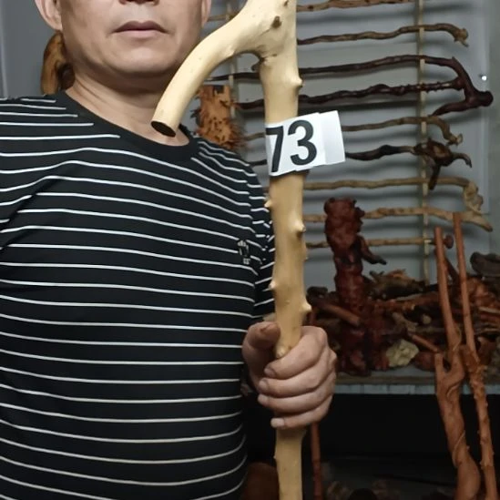 超***考香榧木高山 檬子木文玩料