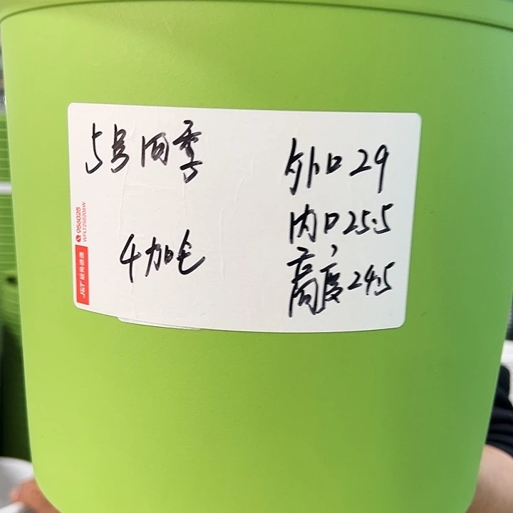 特价四季5号口29高24果绿色5只无托