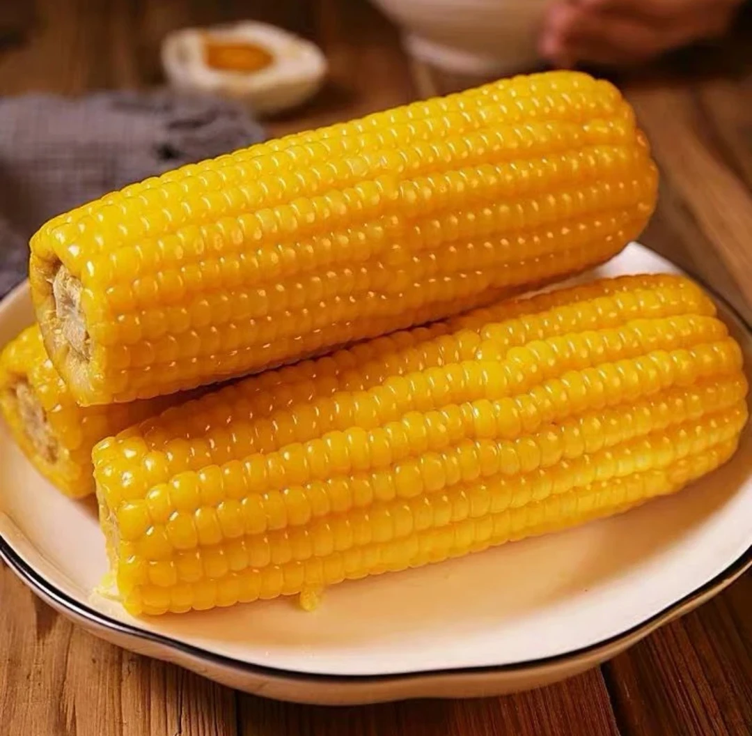 2025年东北糯玉米软糯香玉米棒整箱10支透明黄糯单根250g以上
