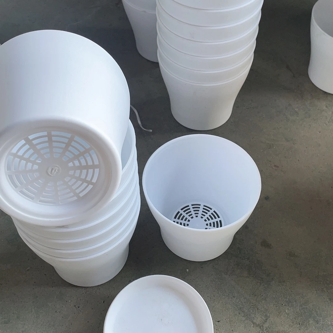 编号是811号的811号的