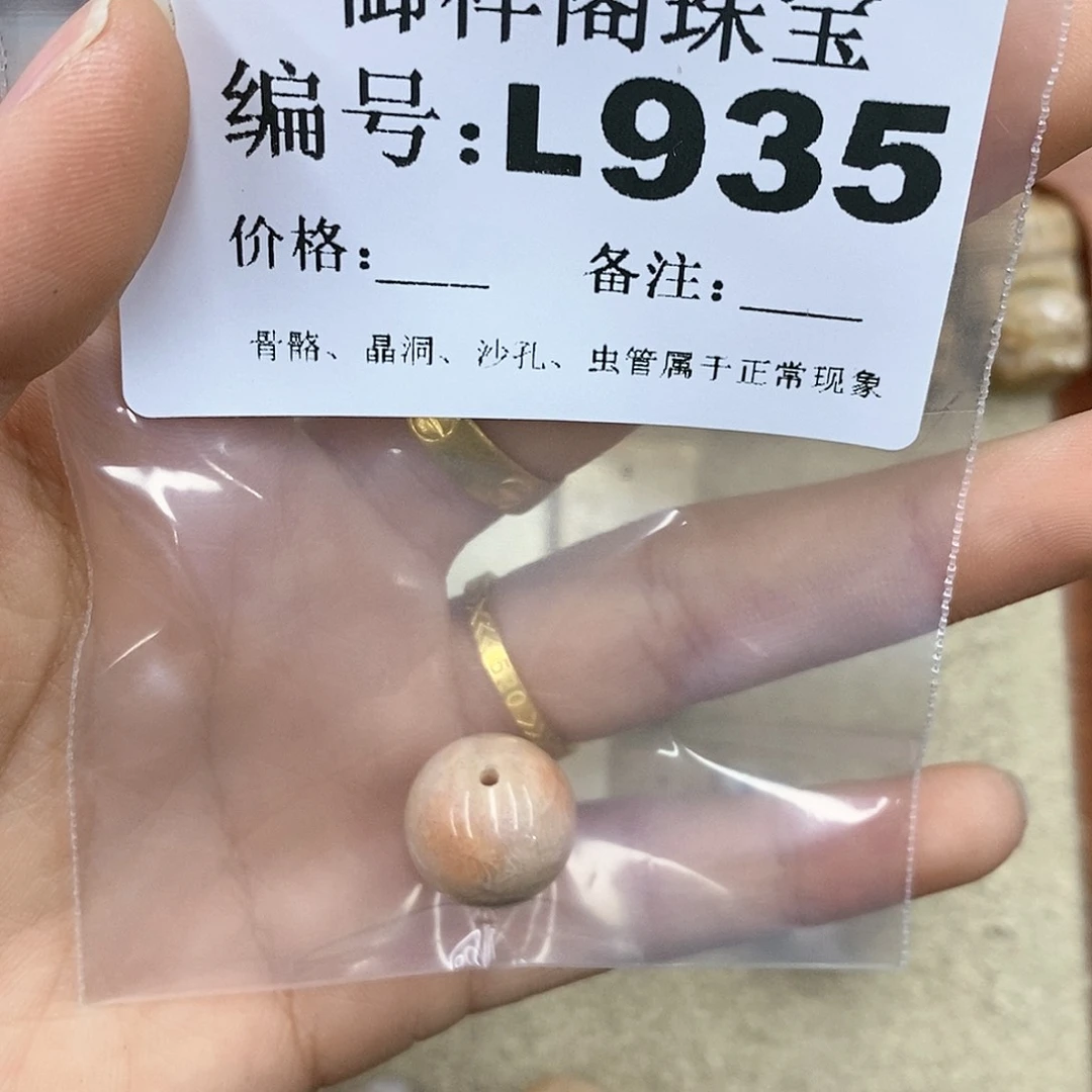 硅化珊瑚（珊瑚玉）L未镶嵌T***a