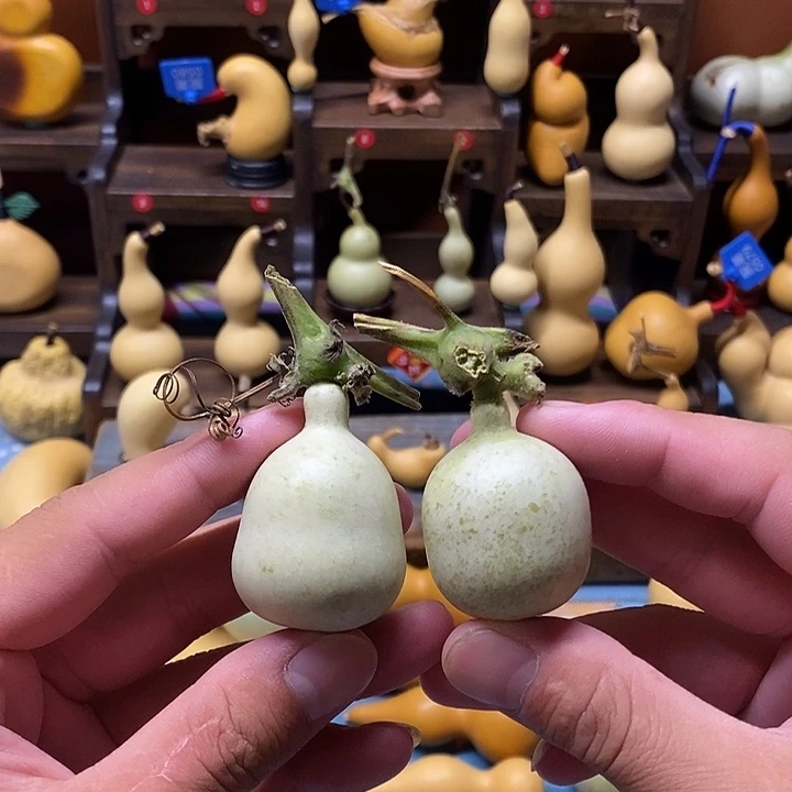 小胖墩葫芦青皮包成