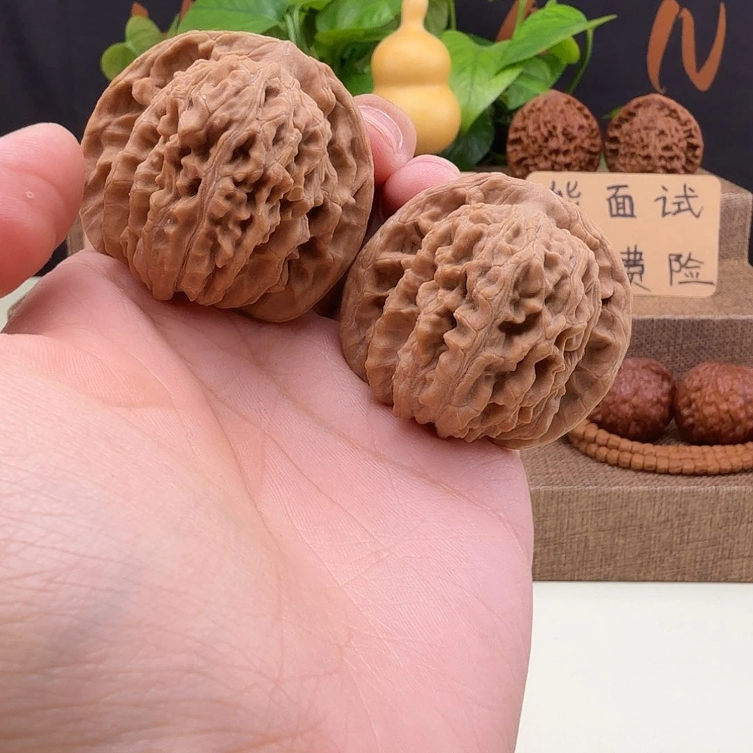 全品四座楼43/41/40