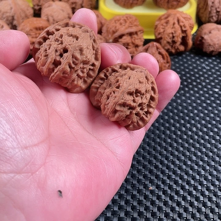 文玩核桃把件白狮子40尺