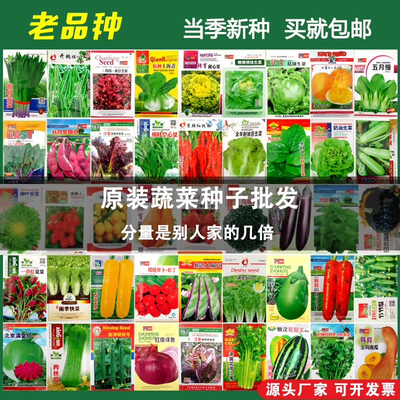 蔬菜种子四季播家庭阳台盆栽庭院易种植番茄黄瓜生菜西瓜籽孑大全