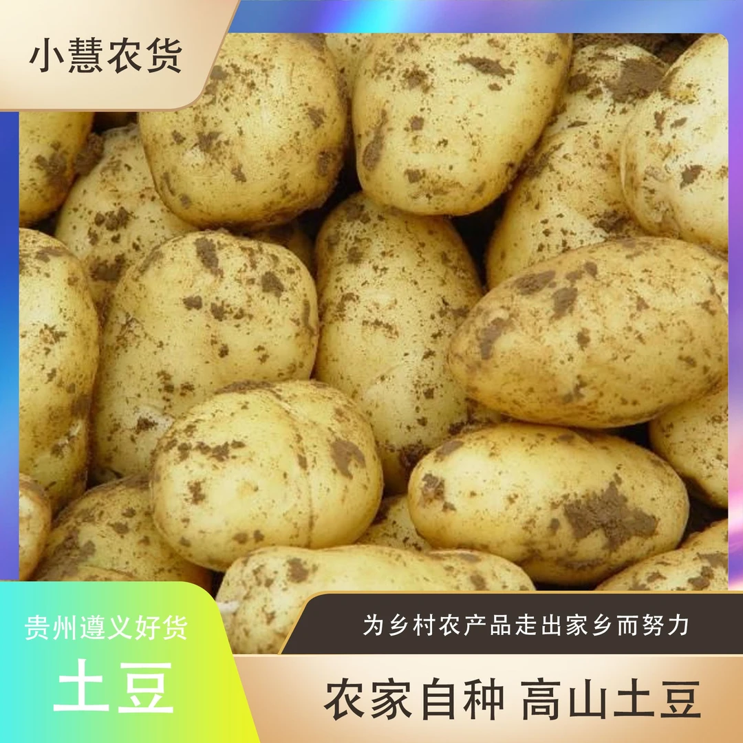 土豆农家土豆新鲜土豆