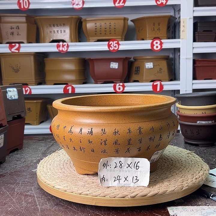 花盆紫砂蛇年大吉